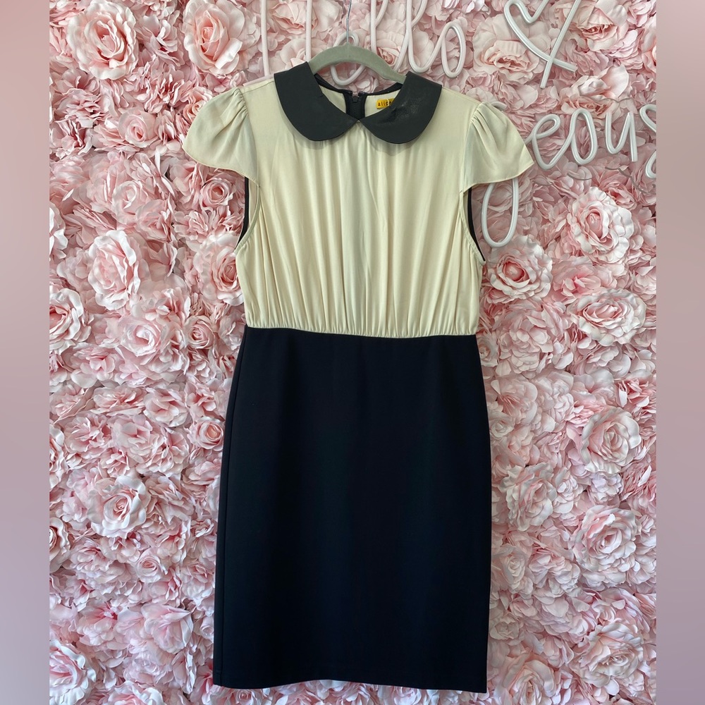 Alice & Olivia beige / black Peter Pan collared dress! Size 6